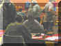 106-0676_IMG.jpg (19866 octets)
